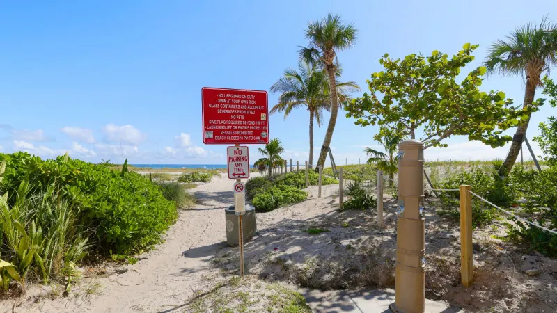 Beach access path with palm trees